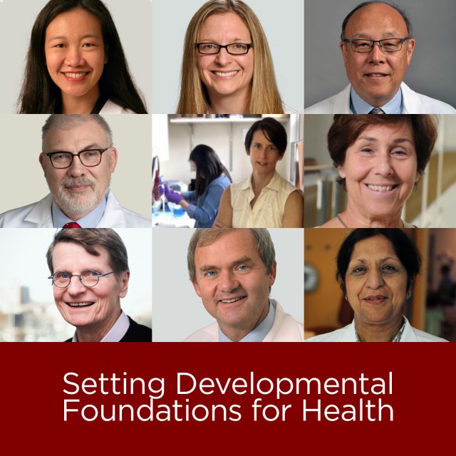A collage of nine SET faculty members with text reading &quot;setting developmental foundations for health&quot;